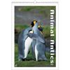 Animal Antics Wall Calendar 2010