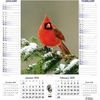 Pictorial Memo wall Calendar