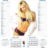 Pictirial Memo wall Calendar